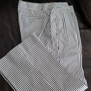 J.Crew Teddy dress pants